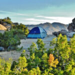 5 Amazing Reasons to Have Joshua Tree Camping