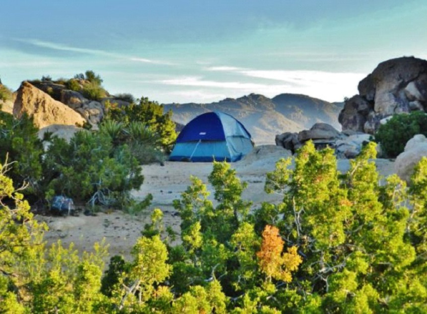 5 Amazing Reasons to Have Joshua Tree Camping