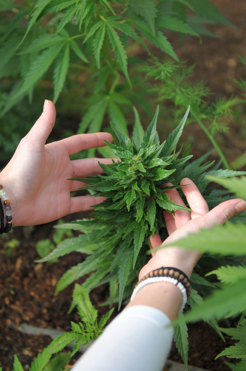 Pristine And Polished: Tips For Maintaining The Quality Of Your Weed Accessories