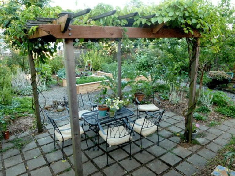 Ways to Make Your Backyard Hardier