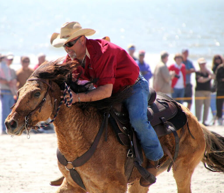 Gallop to Glory