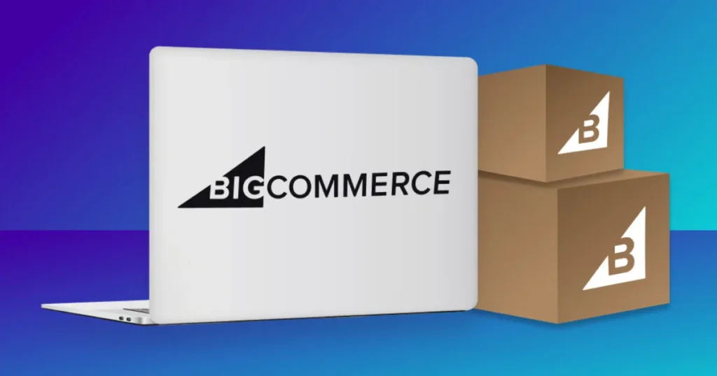 BigCommerce and Omnichannel Commerce: Creating a Seamless Shopping Experience