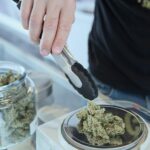 Unlocking The Full Potential: The Role Of A Welcoming Atmosphere In Dispensaries