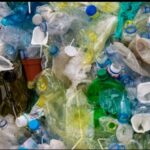 What Happens to Your Plastic Bottles After Recycling? Unveiling the Recycling Journey