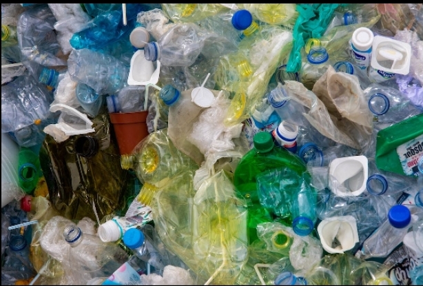 What Happens to Your Plastic Bottles After Recycling? Unveiling the Recycling Journey