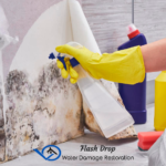 Common Challenges in Water Damage Restoration and How to Overcome Them