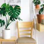 Great reasons to invest in indoor plant hire in an office