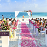 Perfect Destination Wedding Venues in Goa