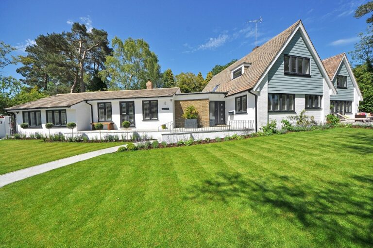 Trends in Lawn Care and Design