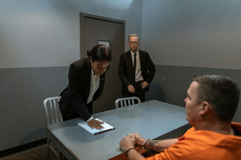 Criminal Lawyers and Constitutional Rights