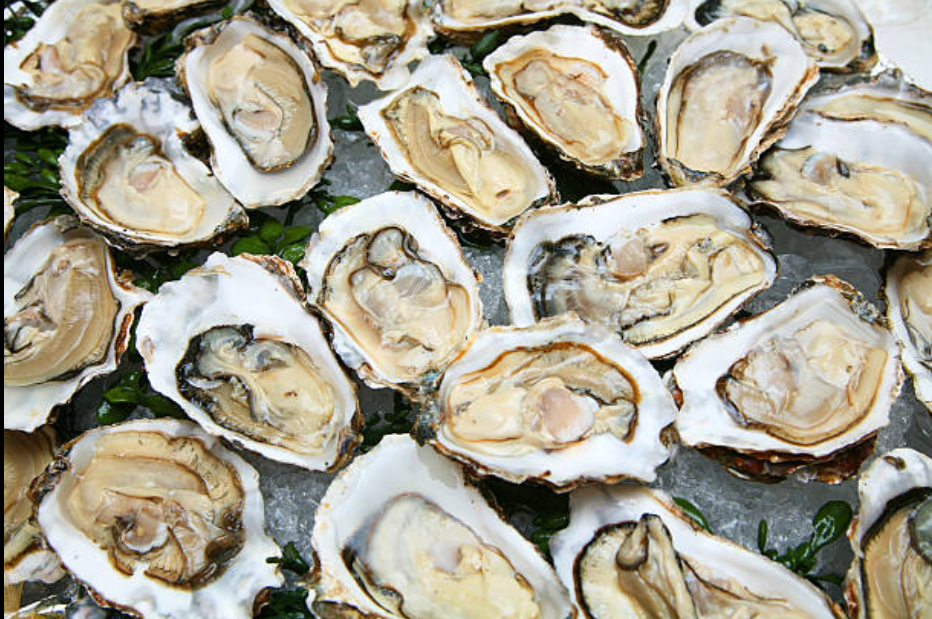 The Health Benefits of Eating Fresh Oysters