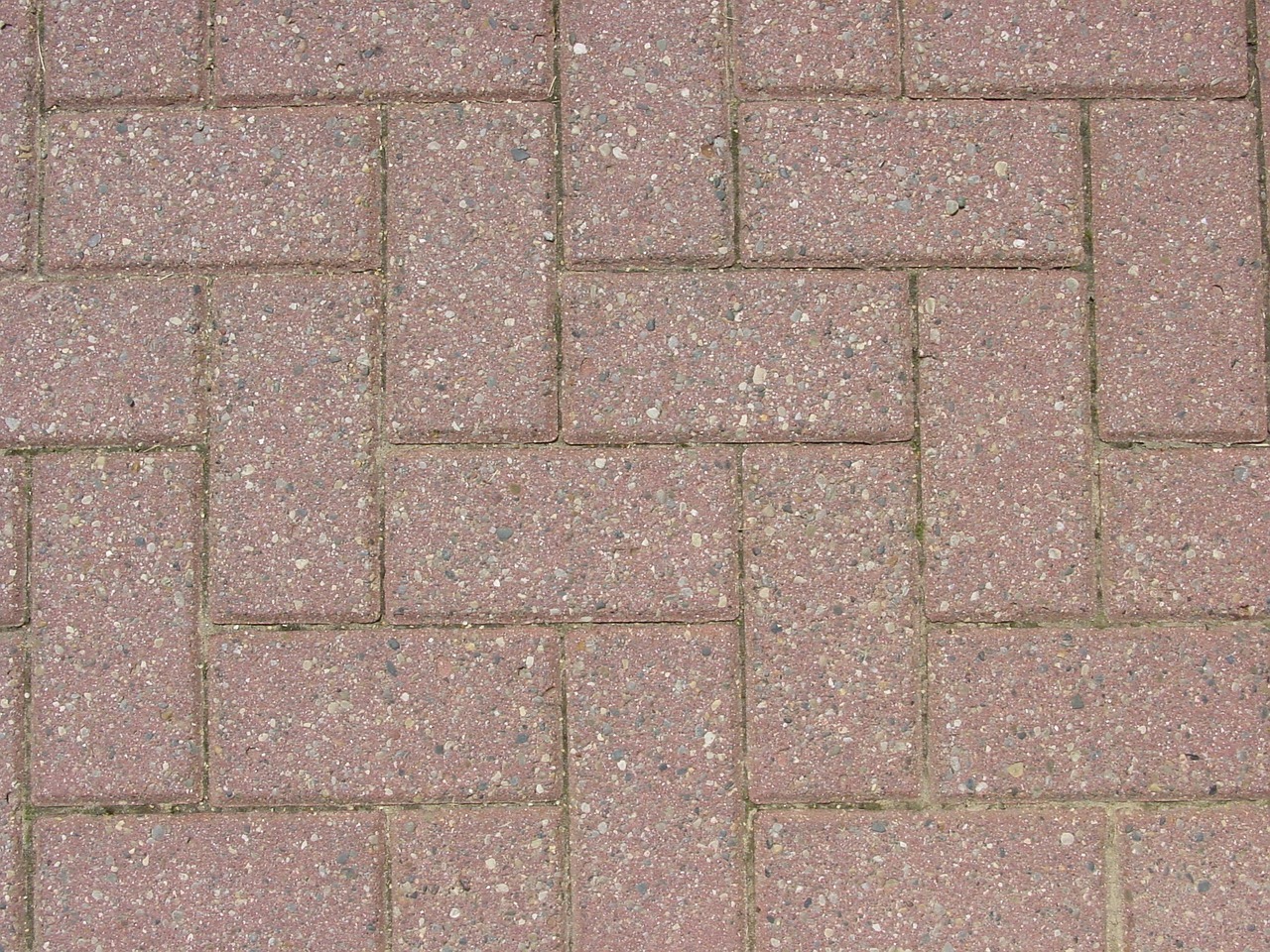 Top Ways To Create A Pest-Free Environment