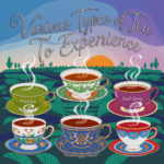 Various Types of Tea to Experience