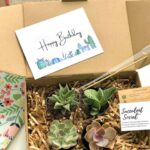Succulent Care Guide in Gift Boxes