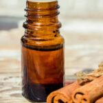 Exploring the Versatile Uses of Cinnamon Bark Oil: A Natural Wonder