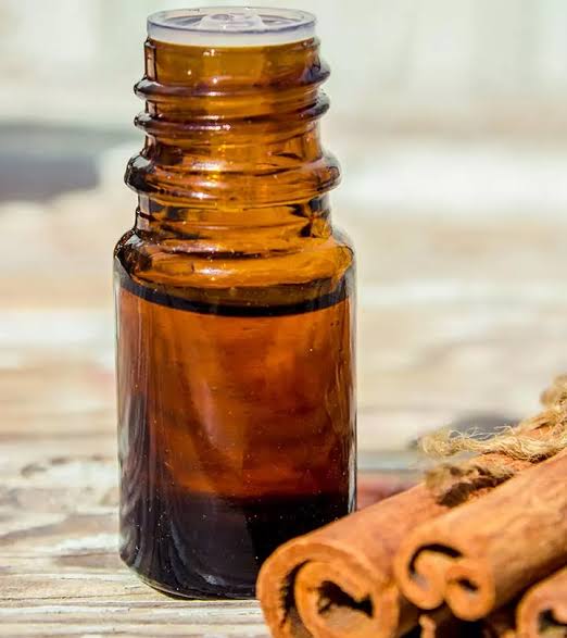 Exploring the Versatile Uses of Cinnamon Bark Oil: A Natural Wonder