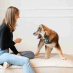 Unleashing the Potential of Your Dog Business: Online Dog Marketing Strategies