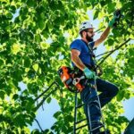 How Professional Tree Pruning Enhances Tree Health and Growth