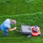 Beating the Heat: How to Protect Your Lawn from Summer Drought