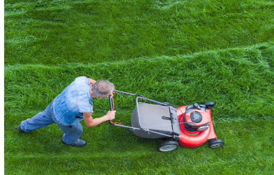 Beating the Heat: How to Protect Your Lawn from Summer Drought