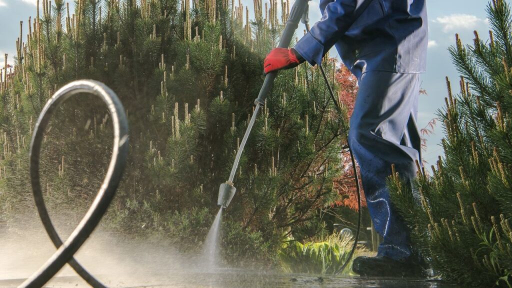 Unleash the Clean: Red River Softwash’s Expert Pressure Washing Solutions for Texarkana and Surrounding Areas