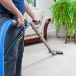 The Perks of Regular Carpet Cleaning: Why It Matters