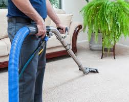 The Perks of Regular Carpet Cleaning: Why It Matters