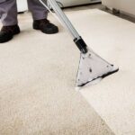 Benefits of Using Professional Carpet Cleaners in Plymouth