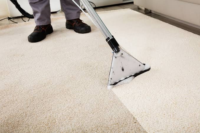 Benefits of Using Professional Carpet Cleaners in Plymouth