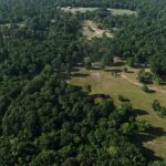 Investment Potential: Exploring Land for Sale in Montgomery County, TX