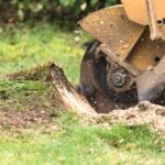 Stump Grinding: Necessary Post-Removal Service