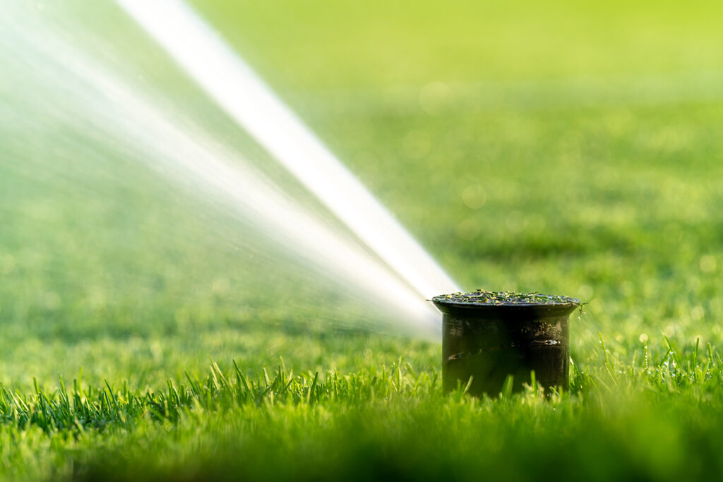 Maximizing Water Use: Smart Irrigation and Seasonal Landscape Management