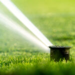 Maximizing Water Use: Smart Irrigation and Seasonal Landscape Management