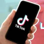 Download TikTok Videos for Free