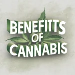 Exploring the Benefits of Cannabis for Postpartum Depression