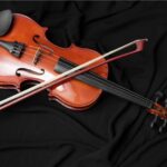 Keep Your Fiddle Safe with BAM’s Awesome Cases!