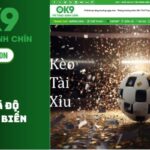 Over/Under Betting – Popular Type of Soccer Betting at OK9