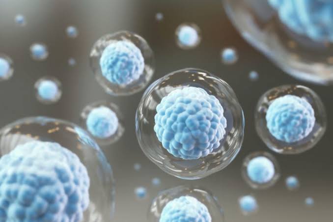 The Science Behind Stem Cell Therapy: How It Works and Why It Matters