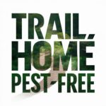 How to Keep Your Indian Trail Home Pest-Free this Summer Tips from the Pros