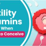 Fertility Vitamins to Take When Trying to Conceive