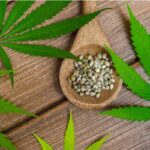 Why You Should Consider Using Regular Cannabis Seeds – 5 Important Reasons!