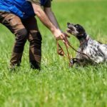 Why Individuals Consider Bird Dog Outdoor’s Gear Collection