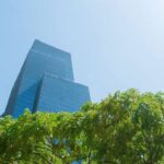 How Australian Carbon Credit Units Can Help Your Business Go Green