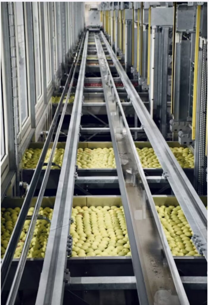 Top 5 Conveyor Systems For Efficient Warehouse Management