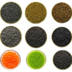 Comparing Black Caviar with Other Types of Caviar - Guide by Bester Caviar