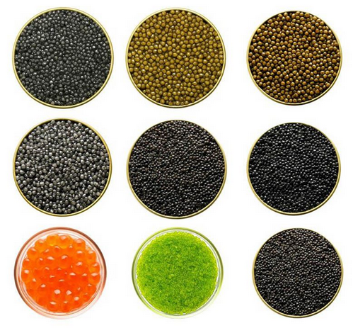 Comparing Black Caviar with Other Types of Caviar - Guide by Bester Caviar