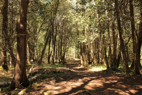 How to Prepare for Any Weather on the Trail