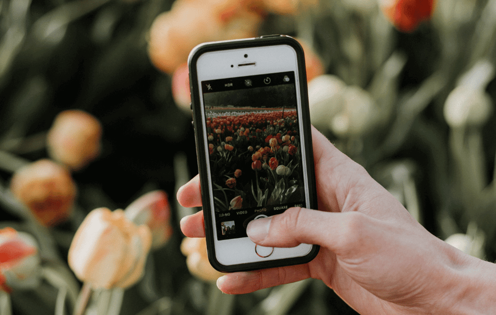 How to Expand the Presence of Your Account in Instagram in 2024