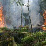 Sustainable Practices in Fire Damage Restoration - Reducing Environmental Impact