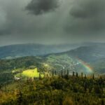 The Unexpected Beauties Of a Rainy Autumn Afternoon